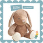 Billie Bunny Sweetie Snuggles Plush