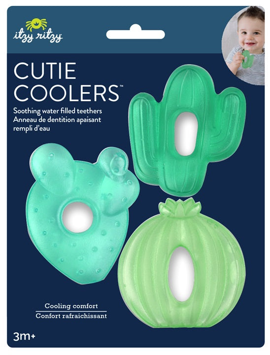 Cutie Coolers - Cacti